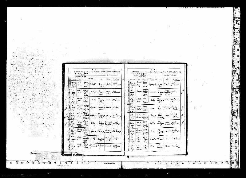 Rippington (Laura May) 1902 Baptism Record